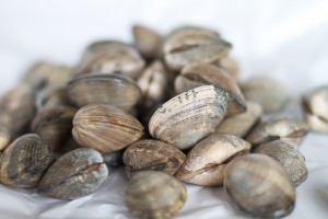 clam-pasta-2